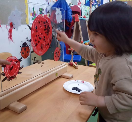 Painting ladybird